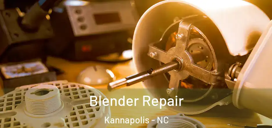Blender Repair Kannapolis - NC