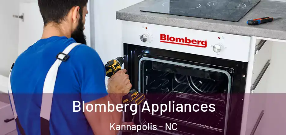 Blomberg Appliances Kannapolis - NC