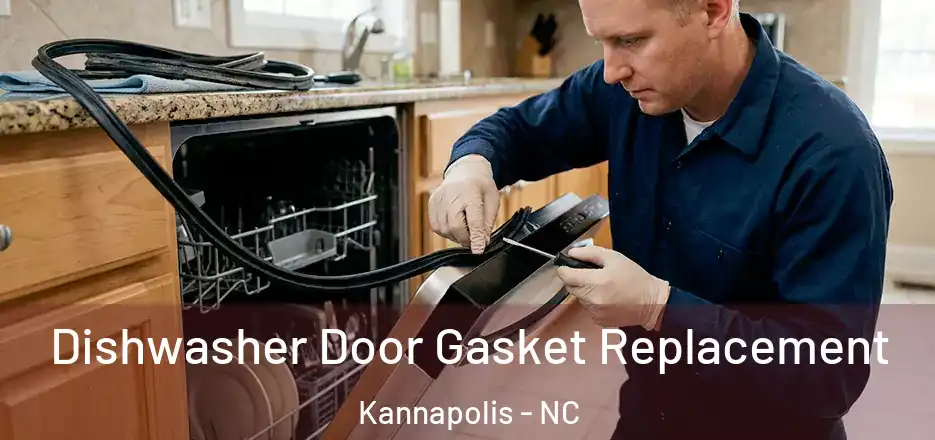 Dishwasher Door Gasket Replacement Kannapolis - NC