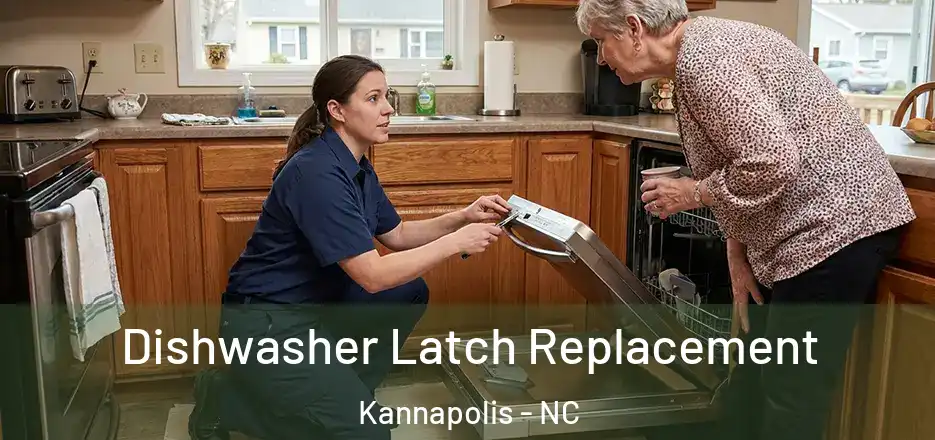 Dishwasher Latch Replacement Kannapolis - NC
