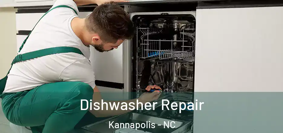 Dishwasher Repair Kannapolis - NC