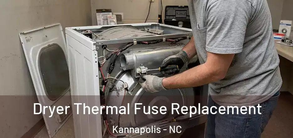 Dryer Thermal Fuse Replacement Kannapolis - NC