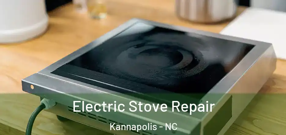  Electric Stove Repair Kannapolis - NC