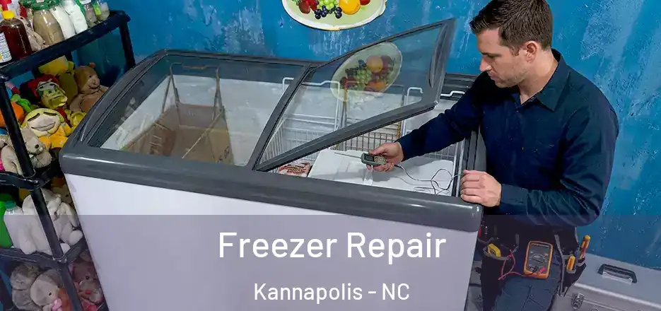 Freezer Repair Kannapolis - NC