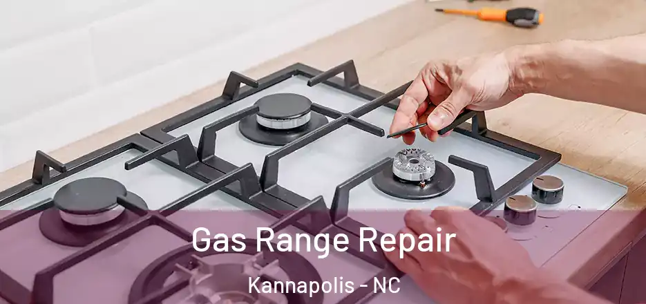 Gas Range Repair Kannapolis - NC