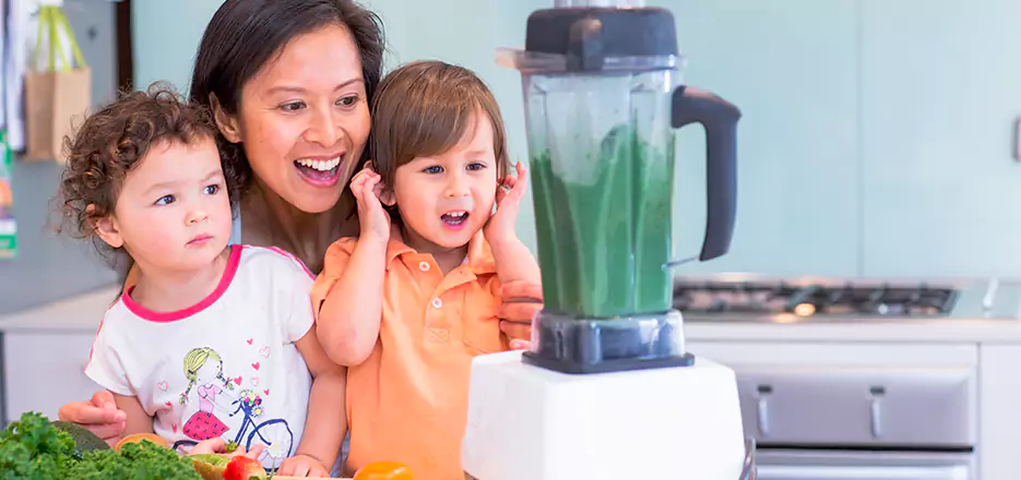 Juicer and Mixer Blender Repair in Kannapolis