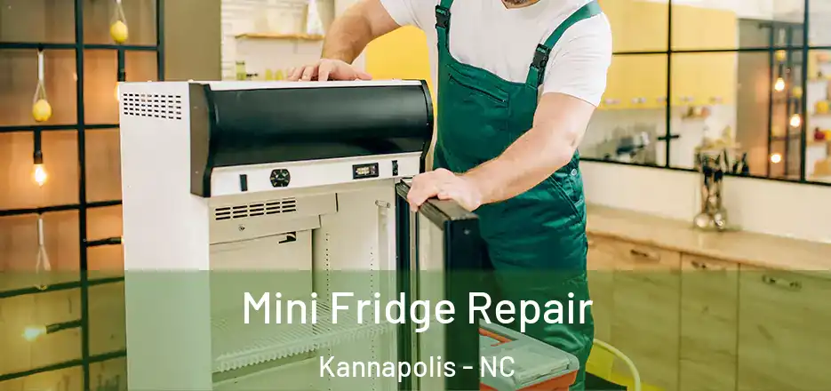 Mini Fridge Repair Kannapolis - NC