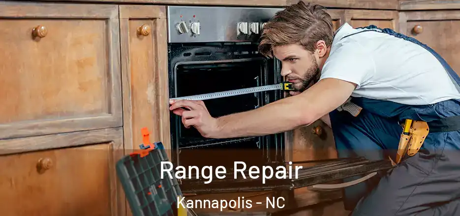 Range Repair Kannapolis - NC