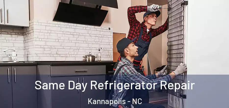  Same Day Refrigerator Repair Kannapolis - NC
