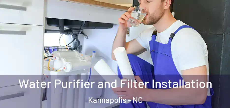 Water Purifier and Filter Installation Kannapolis - NC